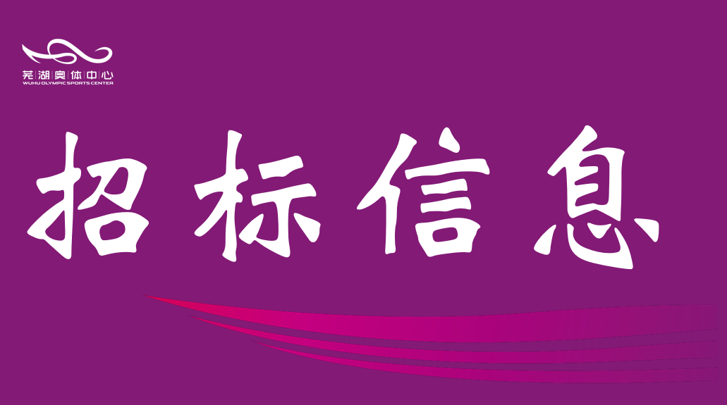 市盛煌娱乐公司2026年监控维保服务询比采购公告